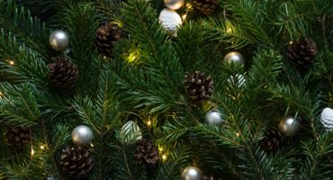 pine tree - Supporting an Opioid Addict During the Holidays